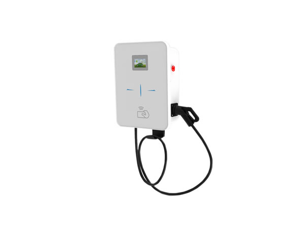 下辈子想当只鸟，大家有什么经验可以分享吗？